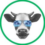 Baja Jerky discount code